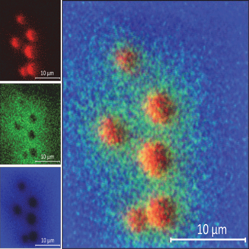 PHI TOF-SIMS Image of micro-droplet contamination on a surface